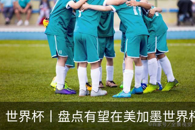 世界杯丨盘点有望在美加墨世界杯一鸣惊人的新星
